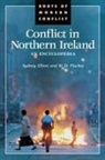 Sydney Elliott, Elliott Sydney, W D Flackes, W. D. Flackes - Conflict in Northern Ireland