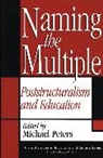 Michael Peters, Michael Peters - Naming the Multiple