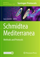 Luca Gentile - Schmidtea Mediterranea