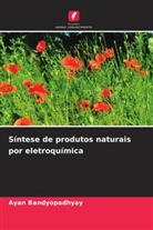 Ayan Bandyopadhyay - Síntese de produtos naturais por eletroquímica