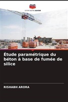Rishabh Arora - Étude paramétrique du béton à base de fumée de silice