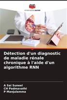 P Manjulamma, P. Manjulamma, Ch Padmavathi, A Sai Suneel - Détection d'un diagnostic de maladie rénale chronique à l'aide d'un algorithme RNN