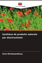 Ayan Bandyopadhyay - Synthèse de produits naturels par électrochimie