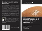I. B. Biradhar, Sanjeev Jakatimath, R. K. Mesta - Etiología y manejo de la pudrición del fruto de la berenjena (Solanum Melongena L.)