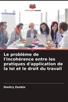 Dmitry Zenkin - Le problème de l'incohérence entre les pratiques d'application de la loi et le droit du travail