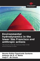 Antenor d A Netto, Antenor de O. A. Netto, Inajá F. de Souza, Neuma Rúbia Figueiredo Santana - Environmental hydrodynamics in the lower São Francisco and anthropic actions