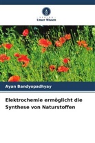 Ayan Bandyopadhyay - Elektrochemie ermöglicht die Synthese von Naturstoffen