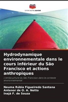 Antenor de O. A. Netto, Inajá F. de Souza, Neuma Rúbia Figueiredo Santana - Hydrodynamique environnementale dans le cours inférieur du São Francisco et actions anthropiques