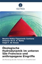 Antenor d A Netto, Antenor de O. A. Netto, Inajá F. de Souza, Neuma Rúbia Figueiredo Santana - Ökologische Hydrodynamik im unteren São Francisco und anthropogene Eingriffe