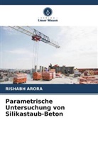 Rishabh Arora - Parametrische Untersuchung von Silikastaub-Beton