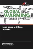 Kaushal Kumar, Paramvir Yadav - I gas serra e il loro impatto