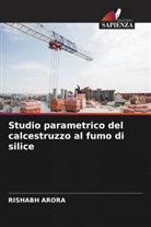 Rishabh Arora - Studio parametrico del calcestruzzo al fumo di silice
