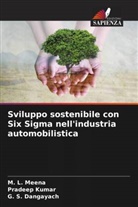 G. S. Dangayach, Pradeep Kumar, M. L. Meena - Sviluppo sostenibile con Six Sigma nell'industria automobilistica