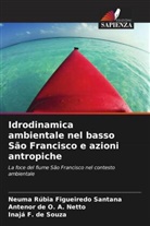 Antenor de O. A. Netto, Inajá F. de Souza, Neuma Rúbia Figueiredo Santana - Idrodinamica ambientale nel basso São Francisco e azioni antropiche