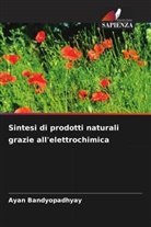 Ayan Bandyopadhyay - Sintesi di prodotti naturali grazie all'elettrochimica