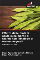 Diogo A. R. Gonçalves, Diogo A.R. Gonçalves, Diego Aparecido Carvalho Moreira - Effetto delle fonti di azoto sulle piante di fagiolo con l'impiego di ormoni vegetali
