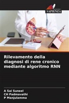 P Manjulamma, P. Manjulamma, Ch Padmavathi, A Sai Suneel - Rilevamento della diagnosi di rene cronico mediante algoritmo RNN