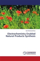 Ayan Bandyopadhyay - Electrochemistry Enabled Natural Products Synthesis