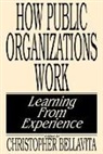 Christopher Bellavita, Bellavita Christopher - How Public Organizations Work