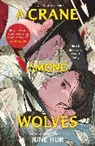 June Hur - A Crane Among Wolves