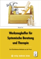 Mischa Frei - Werkzeugkoffer für Systemische Beratung und Therapie