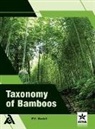 P E Bedell - Taxonomy of Bamboos
