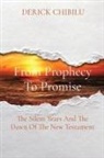 Derick Chibilu - From Prophecy To Promise