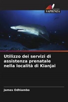 James Odhiambo - Utilizzo dei servizi di assistenza prenatale nella località di Kianjai