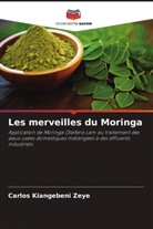 Carlos Kiangebeni Zeye - Les merveilles du Moringa