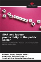 Ana Lu Barriga Zegarra, Ana Luisa Barriga Zegarra, Sandra Erica Heredia Usandivares, Edward Jimmy Pandia Yañez - SIAF and labour productivity in the public sector