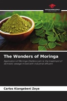 Carlos Kiangebeni Zeye - The Wonders of Moringa