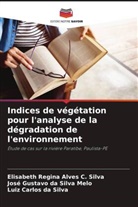 Luiz Carlos Da Silva, José Gustavo Da Silva Melo, Elisabeth Regina Alves C. Silva - Indices de végétation pour l'analyse de la dégradation de l'environnement