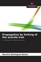 Maurício Dominguez Nasser - Propagation by forking of the acerola tree