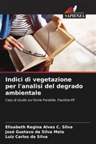 Luiz Carlos da Silva, José Gustavo da Silva Melo, Elisabeth Regina Alves C. Silva - Indici di vegetazione per l'analisi del degrado ambientale