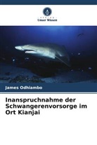 James Odhiambo - Inanspruchnahme der Schwangerenvorsorge im Ort Kianjai