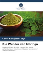 Carlos Kiangebeni Zeye - Die Wunder von Moringa
