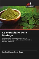 Carlos Kiangebeni Zeye - Le meraviglie della Moringa