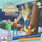 Enid Blyton - Fünf Freunde JUNIOR - Die verschwundenen Weihnachtspäckchen/Das Geheimnis der alten Villa, 1 Audio-CD (Hörbuch)
