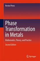 Nestor Perez - Phase Transformation in Metals