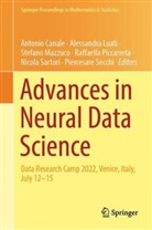 Antonio Canale, Alessandra Luati, Stefano Mazzuco, Stefano Mazzuco et al, Raffaella Piccarreta, Nicola Sartori... - Advances in Neural Data Science