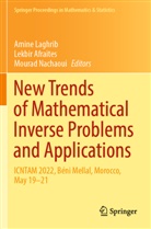 Lekbir Afraites, Amine Laghrib, Mourad Nachaoui - New Trends of Mathematical Inverse Problems and Applications