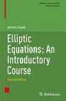 Michel Chipot - Elliptic Equations: An Introductory Course