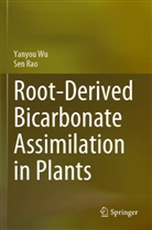 Sen Rao, Yanyou Wu - Root-Derived Bicarbonate Assimilation in Plants