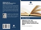 Oliver Stojanoski - Effizienz der US-Militärintervention im Nahen Osten anhand der DEA