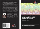 Ahmed  Adam Abdalla Babiker, Ahmed Adam Abdalla Babiker - I valori sociali riflessi nelle opere di Chinua Achebe e Dickens