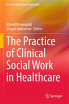 Meredith Hemphill, Nathanson, Abigail Nathanson - The Practice of Clinical Social Work in Healthcare
