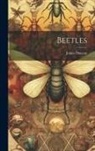 James Duncan - Beetles