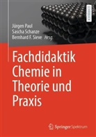 Bernhard F Sieve, Jürgen Paul, Sascha Schanze, Bernhard Sieve, Bernhard F. Sieve - Fachdidaktik Chemie in Theorie und Praxis