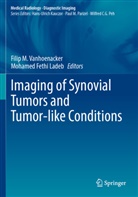 Fethi Ladeb, Mohamed Fethi Ladeb, Filip M Vanhoenacker, Filip M. Vanhoenacker - Imaging of Synovial Tumors and Tumor-like Conditions