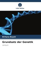 Birhanu Bayeh - Grundsatz der Genetik